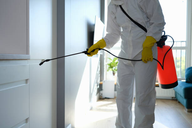 Professional Mold Removal in Johnstown, PA