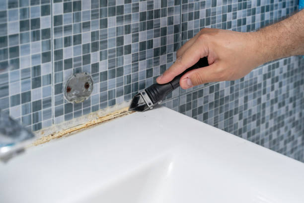 Best Home Mold Removal  in Johnstown, PA