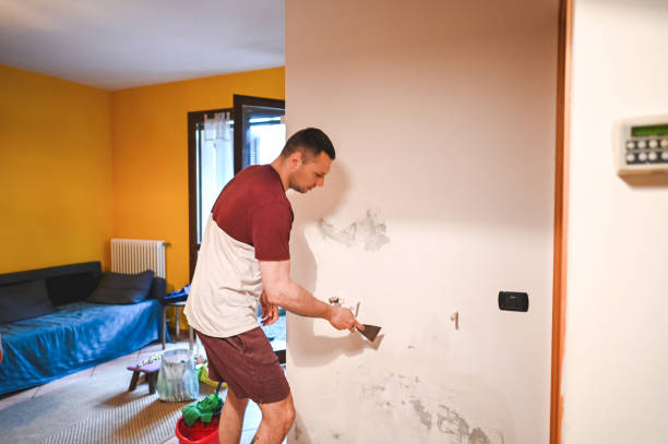 Best Crawl Space Mold Removal  in Johnstown, PA